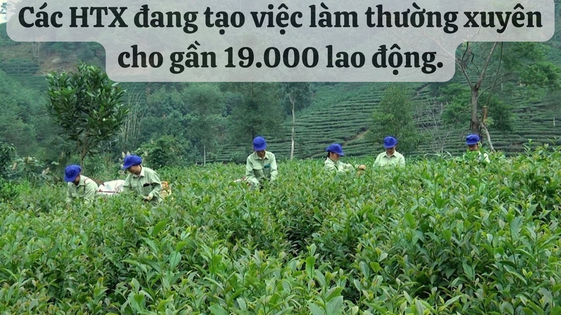 che.jpg