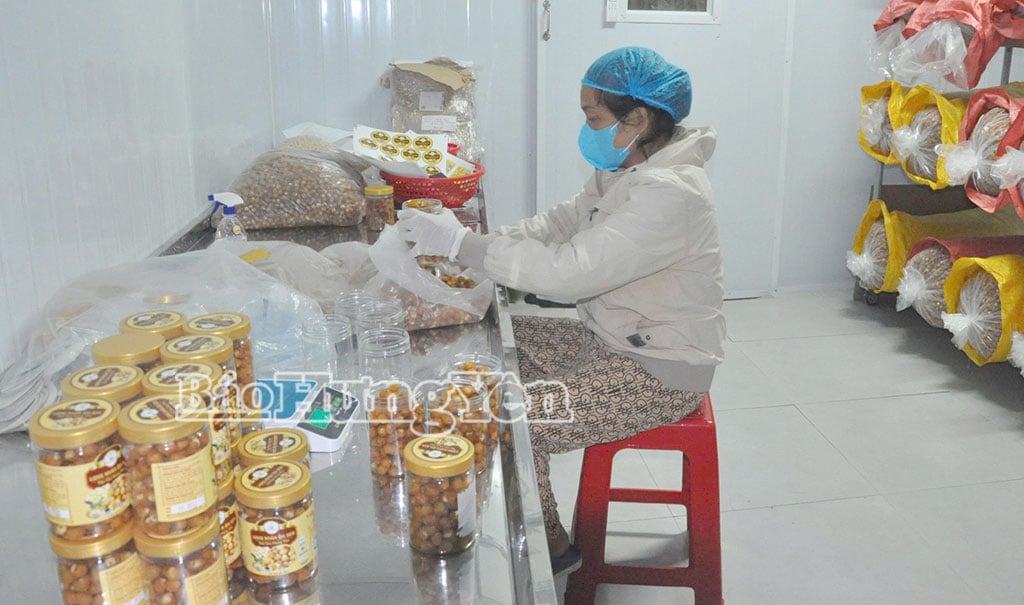 លោកស្រី Nguyen Thi My ឃុំ Tan Hung ផលិត​ផ្លែ​ឈូក។