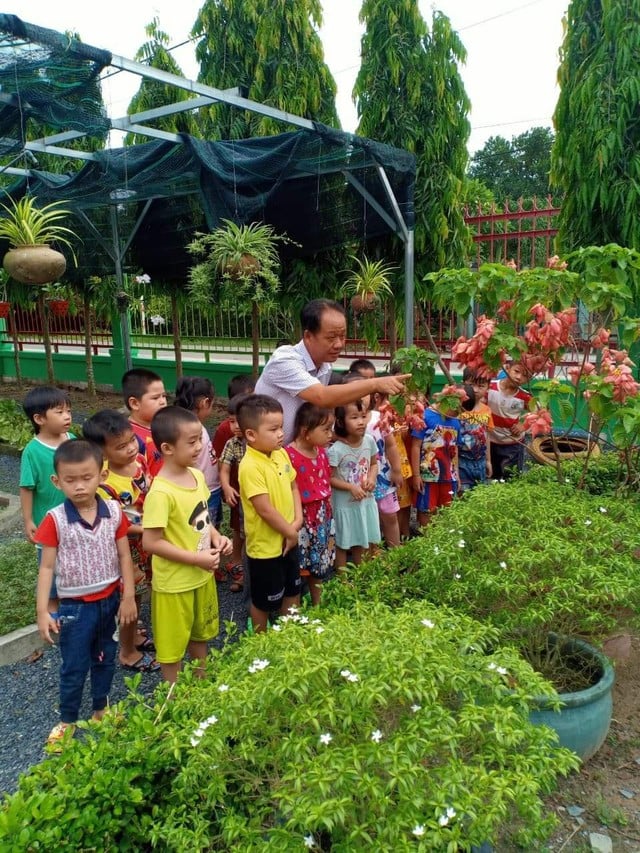 Đưa cây xanh, cỏ hoa vào không gian trường học- Ảnh 6.