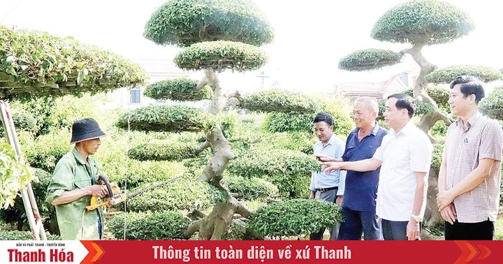 កេងប្រវ័ញ្ច "លំហថ្មី ធនធានថ្មី" ដើម្បីធ្វើឱ្យ Dinh Tan ក្លាយជាឃុំគំរូ