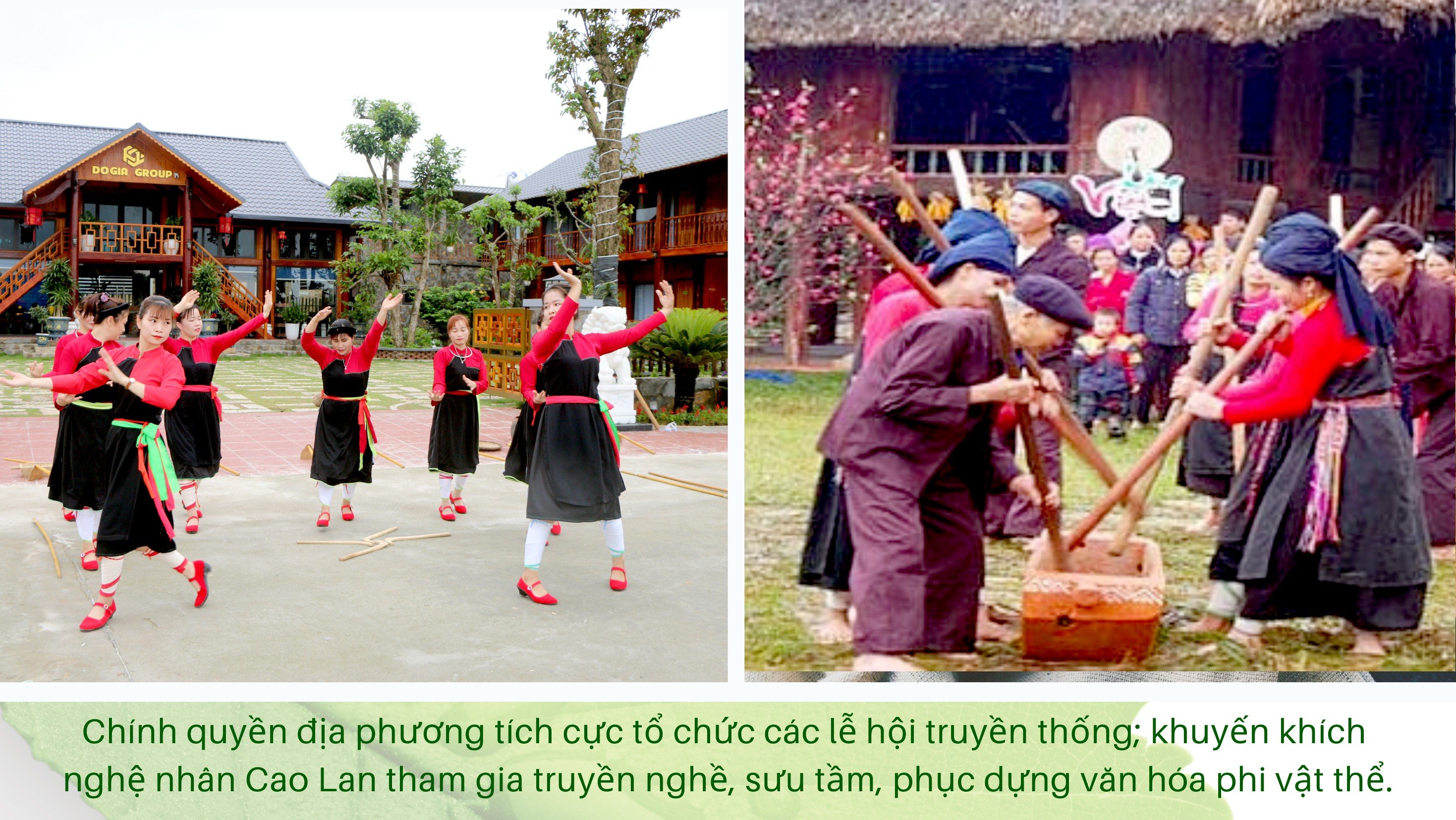 cao-lan1.jpg
