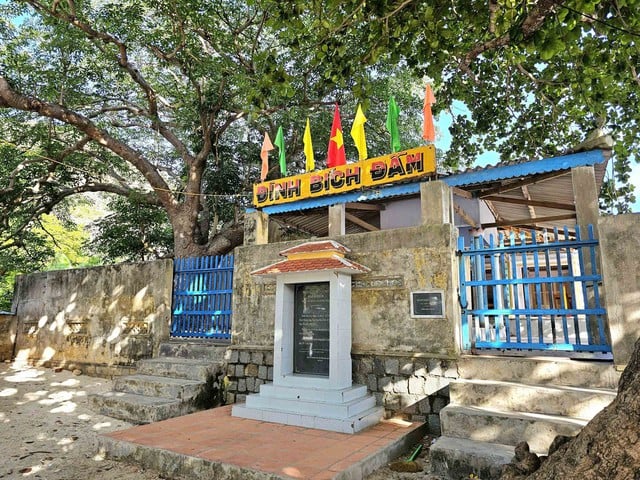 Bích Đầm - miền xanh hoang sơ giữa vịnh Nha Trang- Ảnh 6.