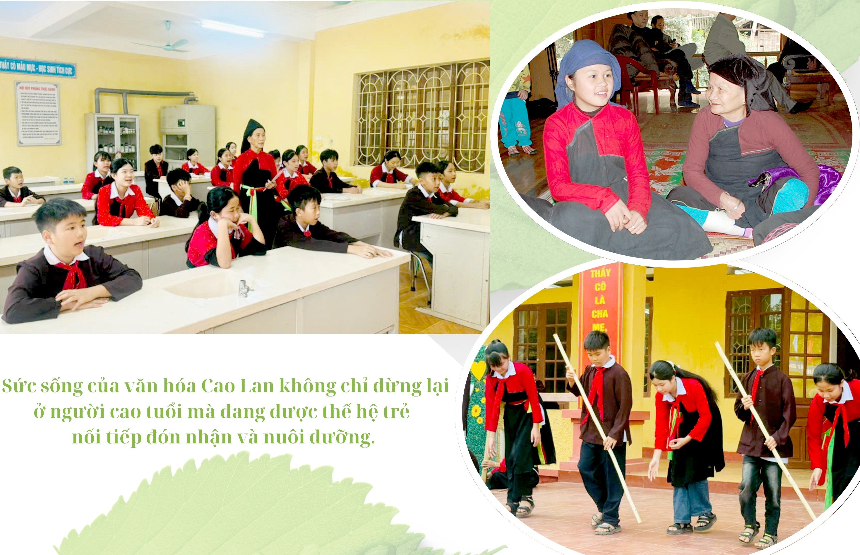 cao-lan2.jpg