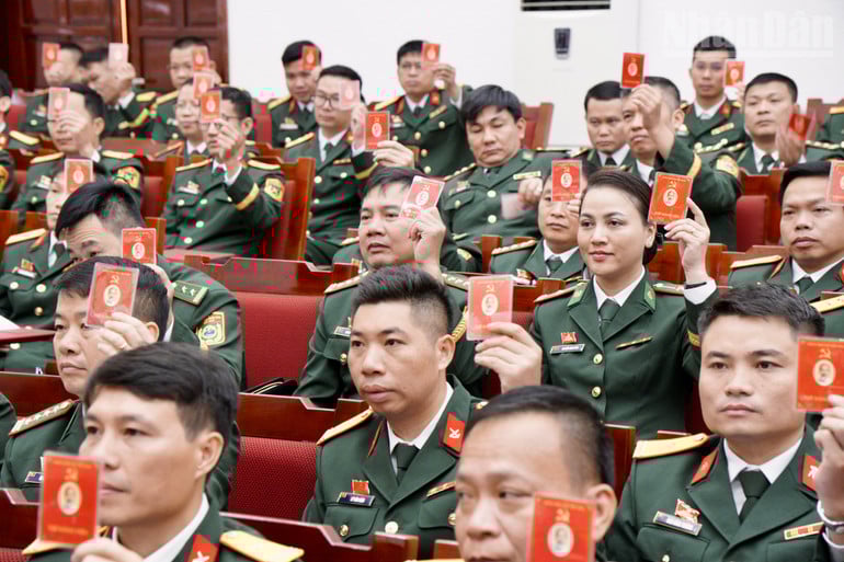 ndo_tr_img-0165.jpg