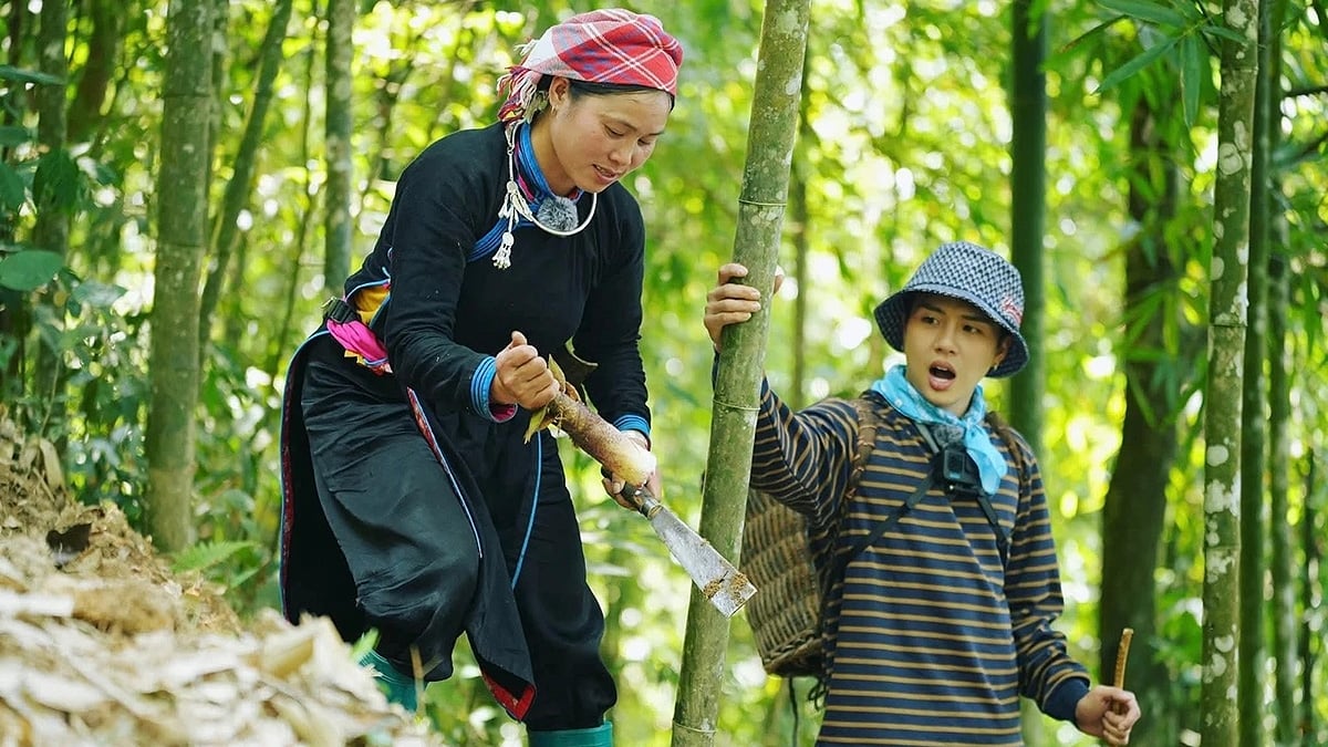 Chị Vàng Thị Thông hướng dẫn các nghệ sĩ lấy măng rừng trong show “Gia đình Haha”.