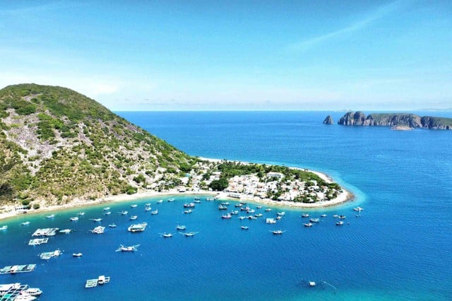 Bích Đầm - miền xanh hoang sơ giữa vịnh Nha Trang- Ảnh 4.