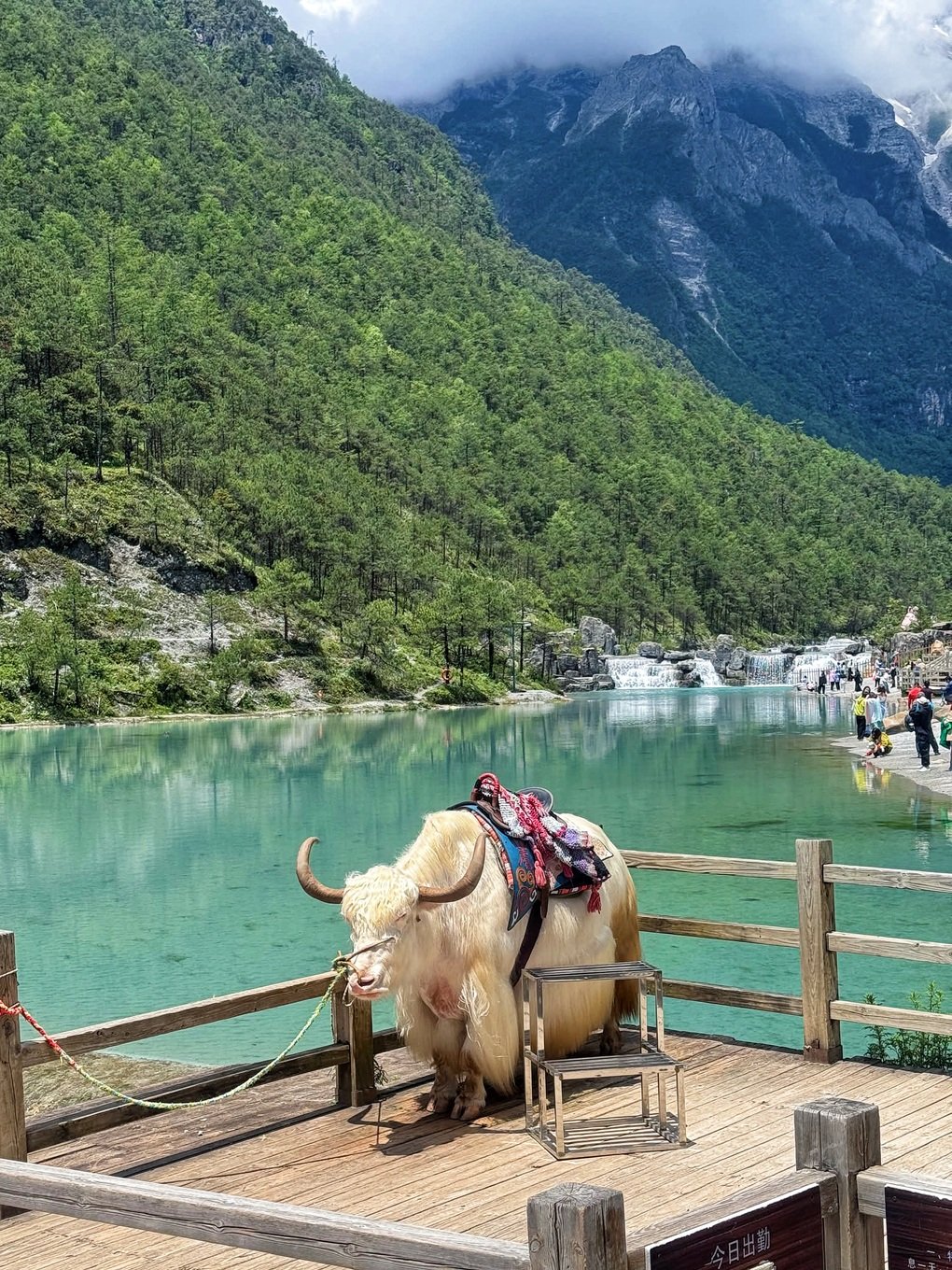 Thủ tục visa thay đổi, tin đồn thất thiệt: Vẫn cháy tour nước ngoài dịp 2/9 - 1