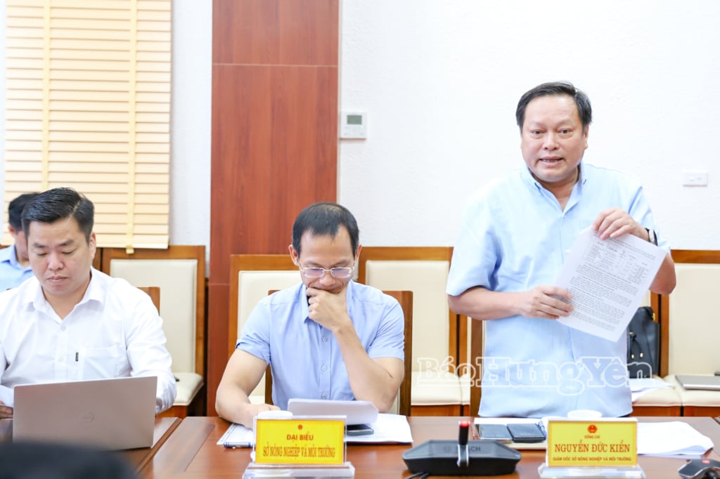 Đại diện lãnh đạo Sở Nông nghiệp và Môi trường phát biểu tại cuộc họp.