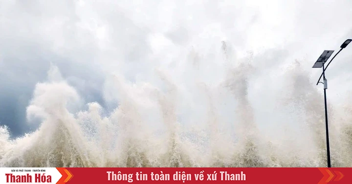 Quản chặt tàu thuyền, sẵn sàng ứng phó với áp thấp nhiệt đới trên Biển Đông
