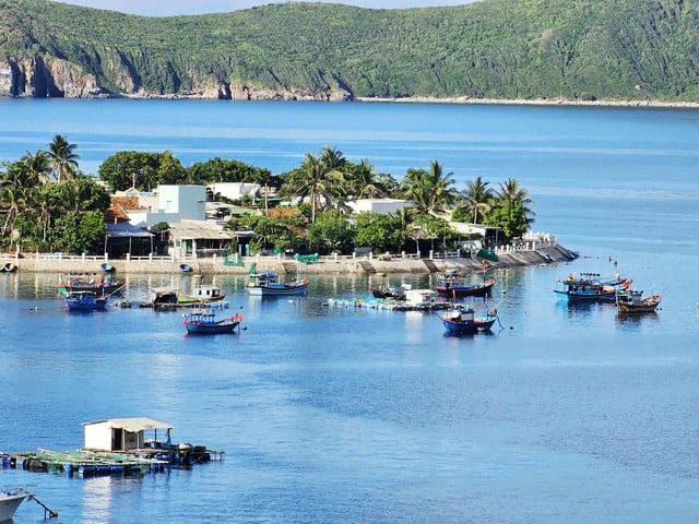 Bích Đầm - miền xanh hoang sơ giữa vịnh Nha Trang- Ảnh 1.