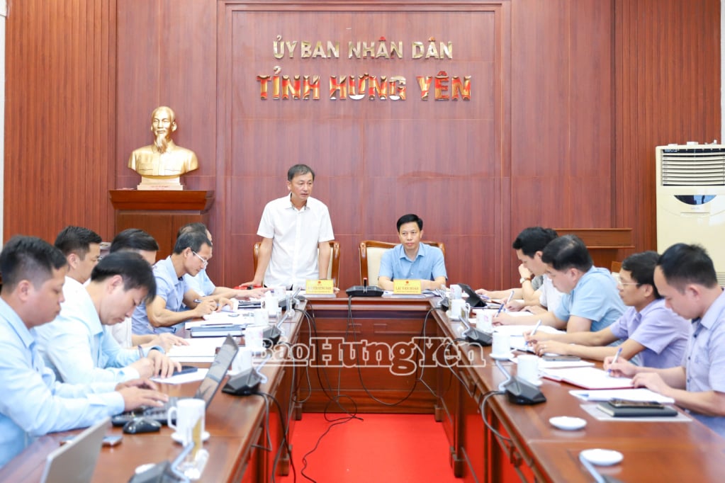 Đồng chí Phó Chủ tịch UBND tỉnh Nguyễn Hùng Nam phát biểu tại cuộc họp.