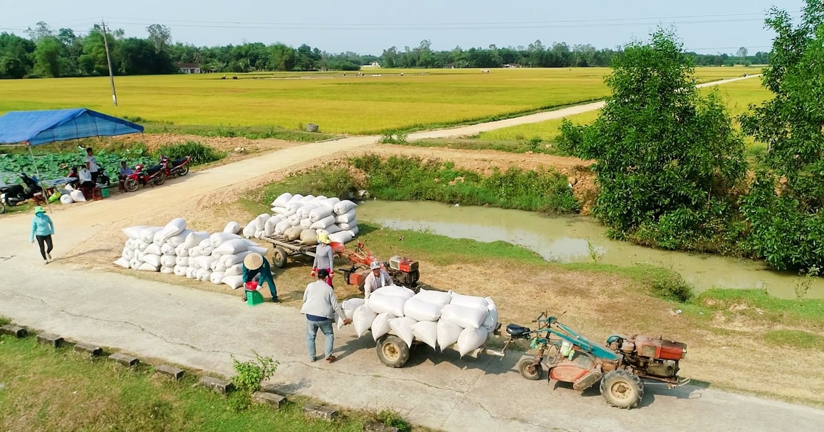 មតិយោបល់លើសេចក្តីព្រាងរបាយការណ៍នយោបាយនៃសន្និបាតលើកទី ២៣ របស់គណៈកម្មាធិការគណបក្សទីក្រុងដាណាង (អាណត្តិ ២០២៥ - ២០៣០)៖ ការគិតថ្មីសម្រាប់សេដ្ឋកិច្ចជនបទក្នុងសម័យសមាហរណកម្ម