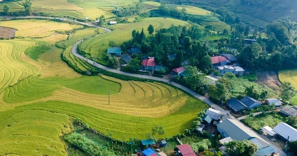 Phấn đấu 'mục tiêu kép' xây dựng nông thôn mới gắn với giảm nghèo bền vững