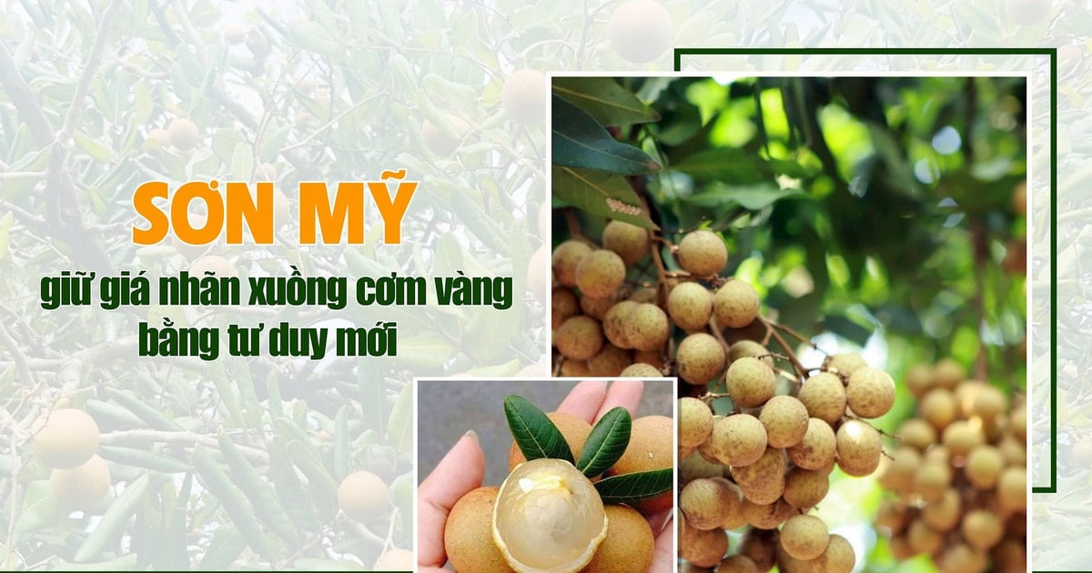 Sơn Mỹ giữ giá nhãn xuồng cơm vàng bằng tư duy mới