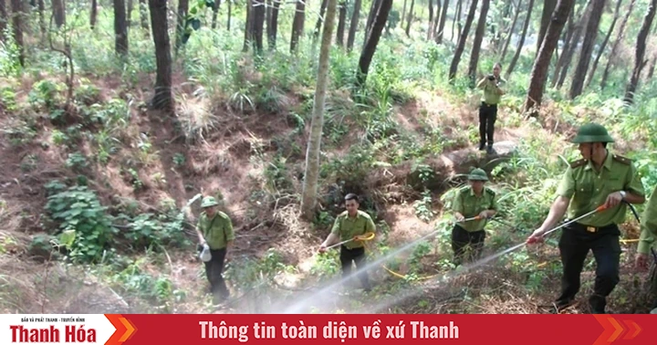 Dự báo và thông tin cấp dự báo cháy rừng từ ngày 10/8 đến 13/8