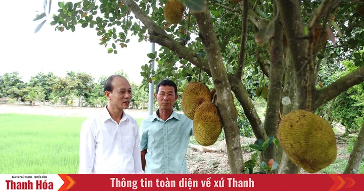 កសាងឃុំ Hoat Giang ឱ្យអភិវឌ្ឍយ៉ាងឆាប់រហ័ស គ្រប់ជ្រុងជ្រោយ និងនិរន្តរភាព