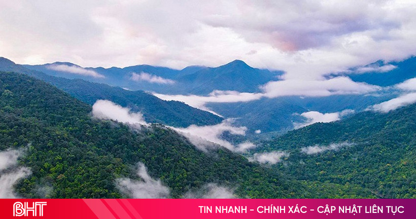 [Quiz] “Kỳ lân châu Á” được phát hiện ở Vườn Quốc gia Vũ Quang năm nào?