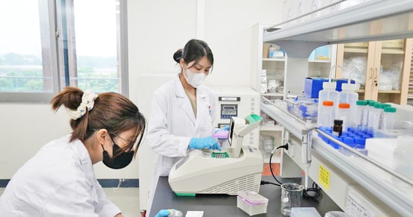 Thu hút nhân tài khoa học và công nghệ: