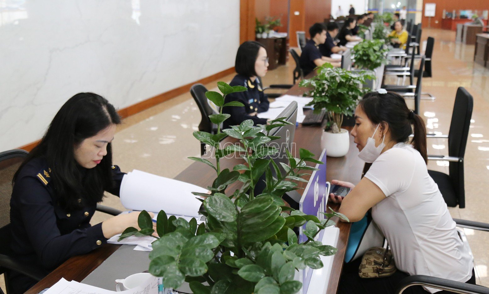 บาวลาโอไค-c_h19.jpg