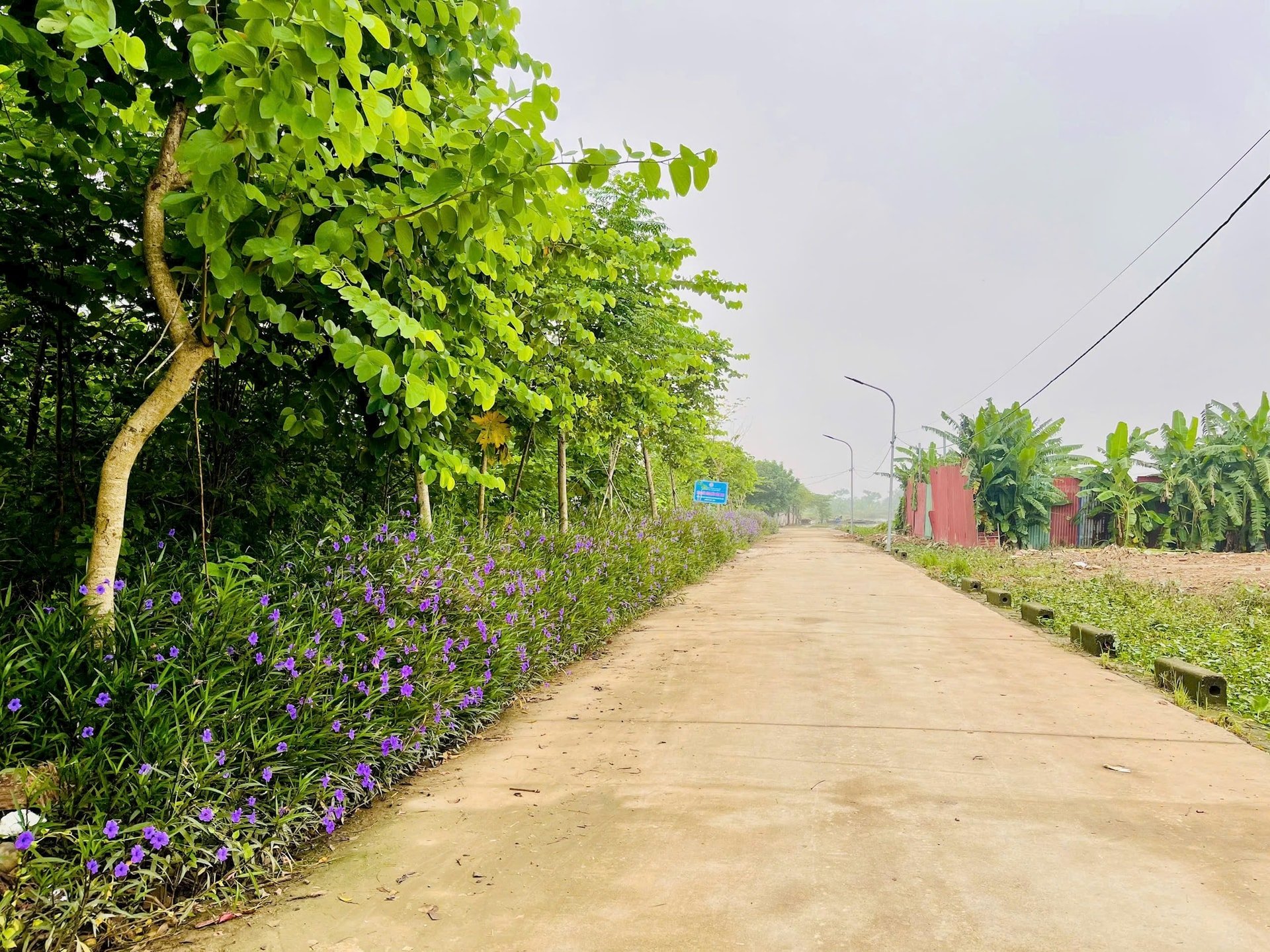 song-phuong4.jpg