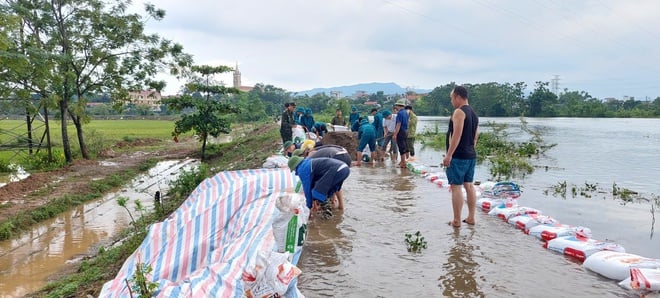 Xã Phú Nghĩa: Huy động lực lượng ứng cứu, bảo vệ an toàn đê- Ảnh 4.
