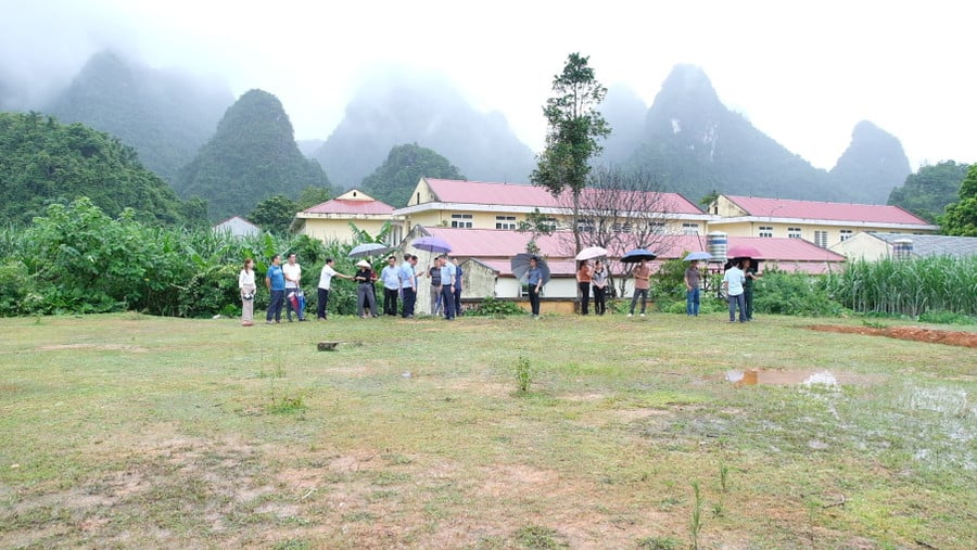 khao-sat-be-van-dan.jpg