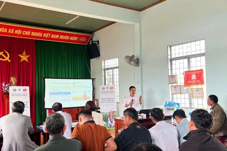 De Heus đồng hành cùng nông dân phát triển ngô tại các tỉnh Tây Nguyên- Ảnh 1.