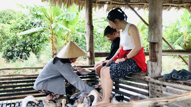 Sensasi berpuluh-puluh itik mengurut kaki mereka pada masa yang sama membuatkan pelancong ketawa. FOTO: THANH DUY