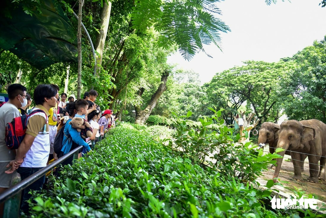 Thảo Cầm Viên - Ảnh 5.