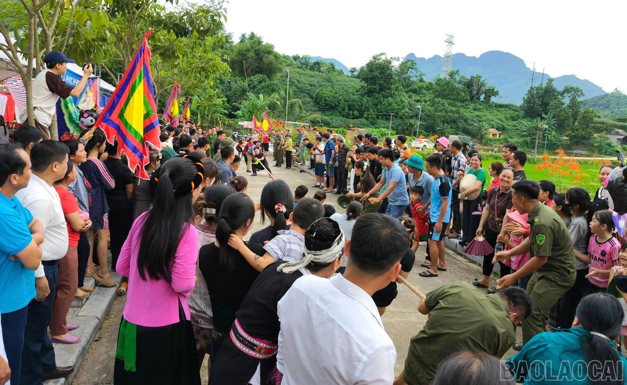 baolaocai-br_lh-8.jpg