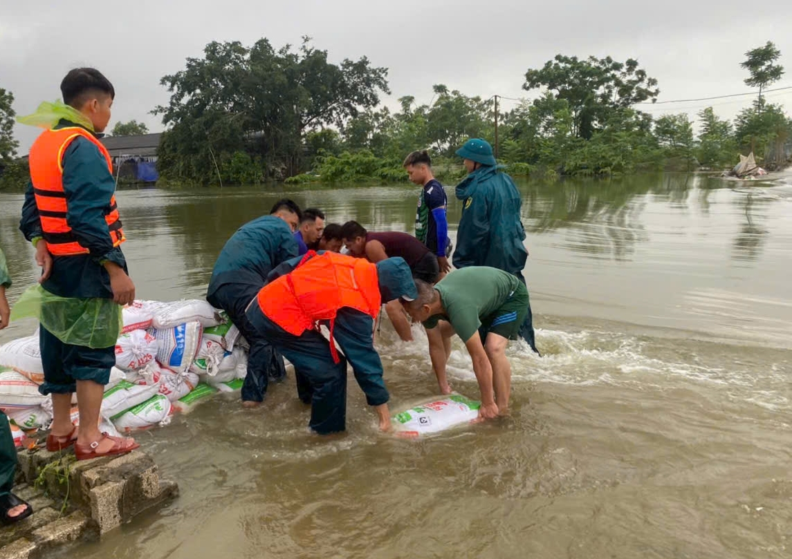 C:\Users\May tinh Loc Ninh\Downloads\467bec15b66f3d31647e.jpg