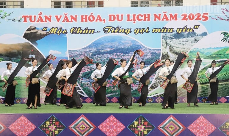 ndo_tr_14.jpg