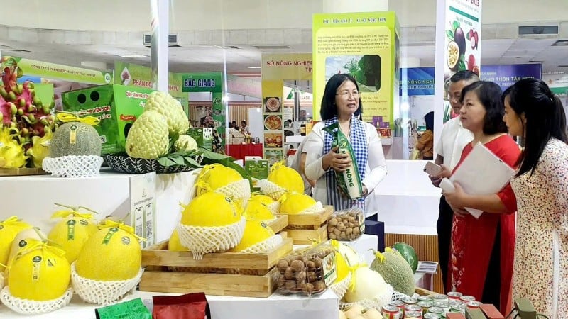 ការប្រើប្រាស់វេទិកាឌីជីថលដើម្បីលក់ផលិតផលបានជួយបុគ្គល សហករណ៍ និងអង្គភាពអាជីវកម្មជាច្រើនផ្សព្វផ្សាយ និងលក់ផលិតផលកាន់តែច្រើន។