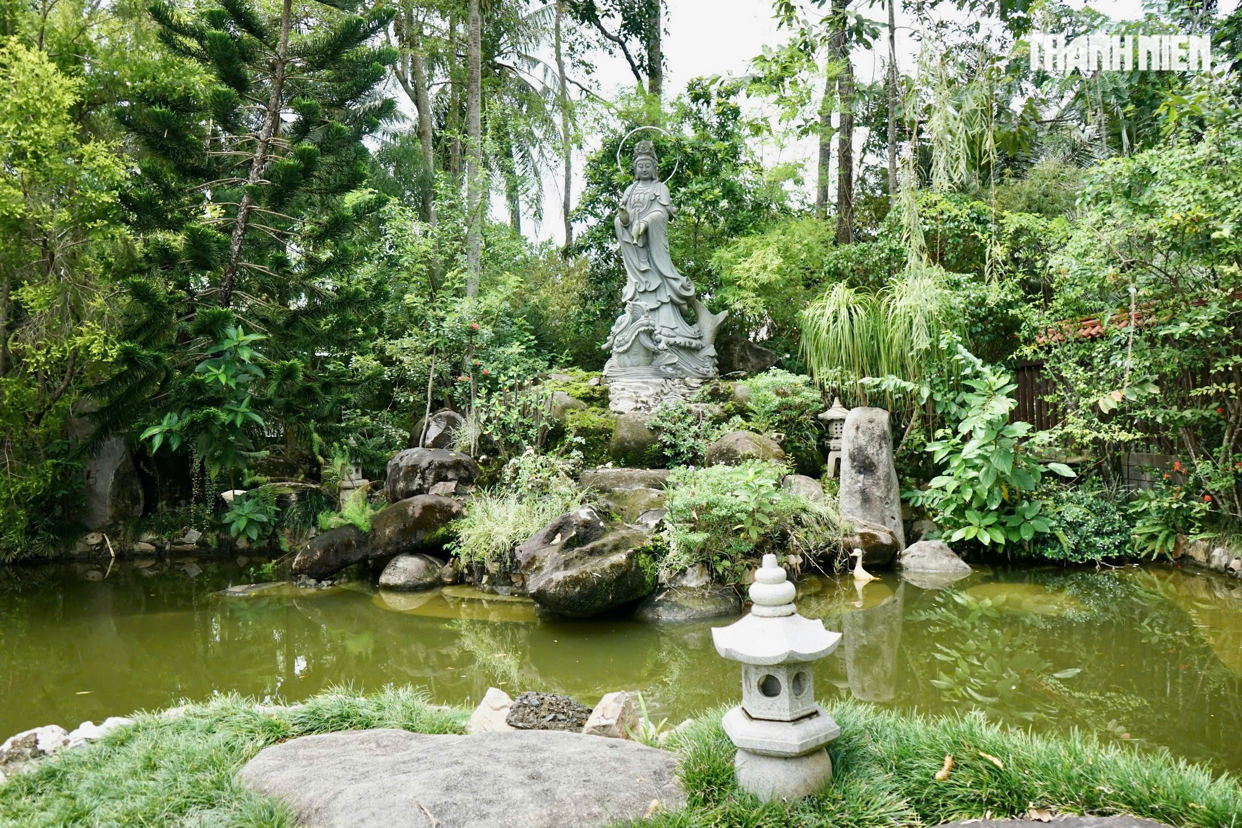  - Ảnh 10.