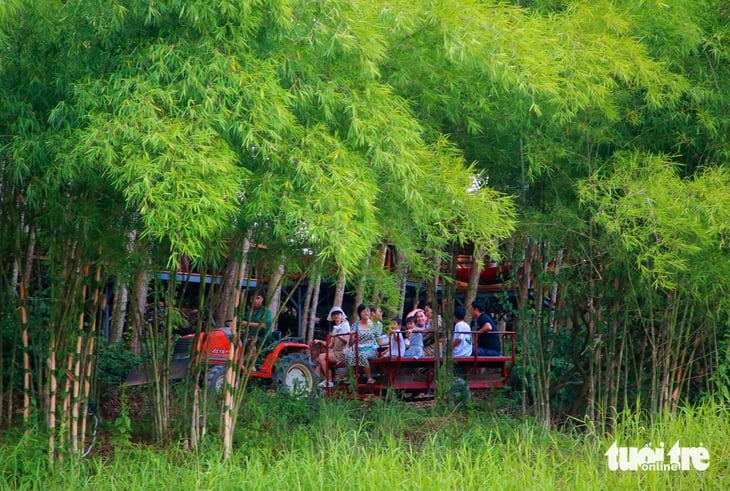 Khánh Hòa - Ảnh 5.