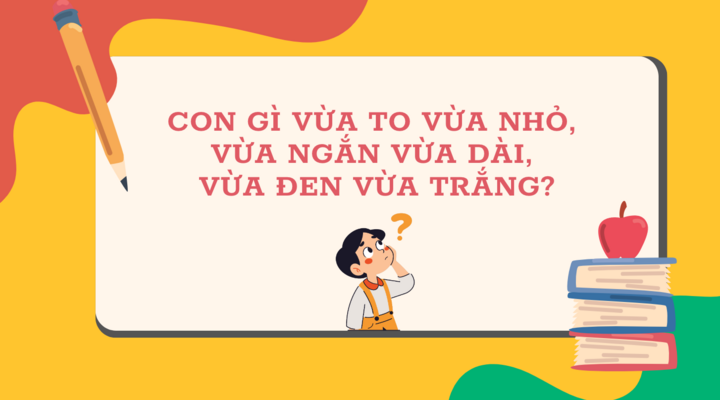 តើអ្វីធំនិងតូច ខ្លី និងវែង ខ្មៅ និងស? - ១