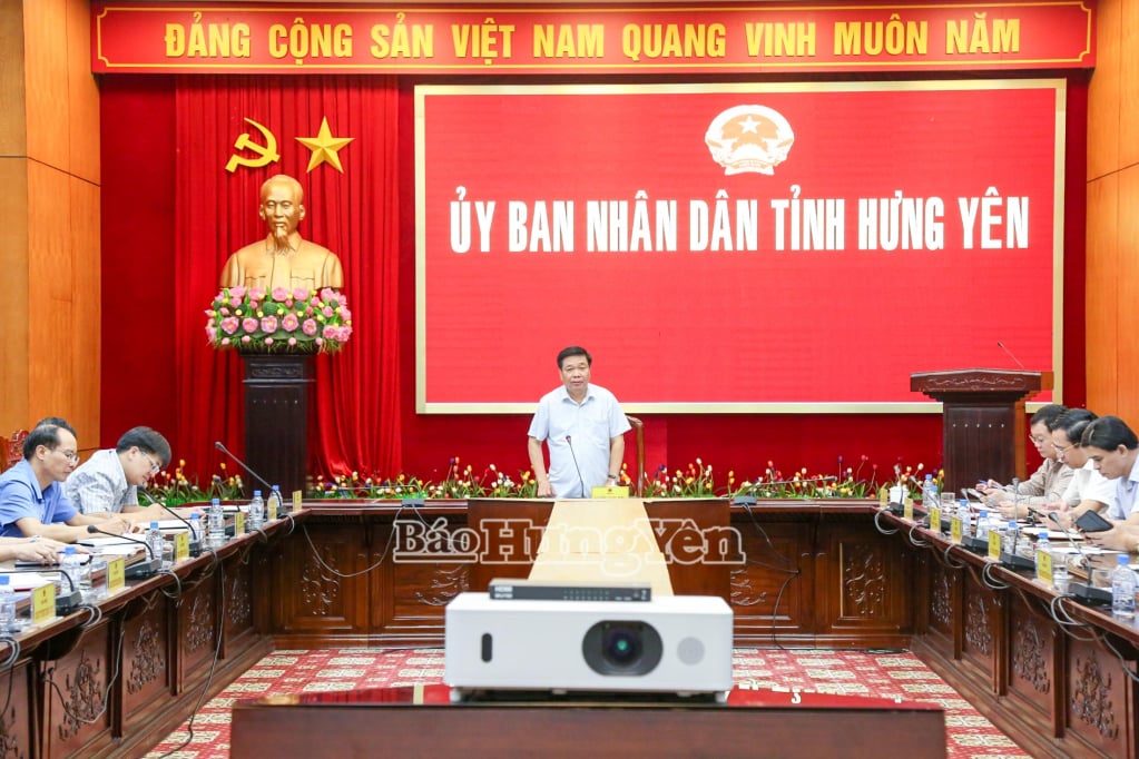 អនុប្រធានអចិន្ត្រៃយ៍នៃគណៈកម្មាធិការប្រជាជនខេត្ត លោក Nguyen Quang Hung ថ្លែងមតិក្នុងកិច្ចប្រជុំ។