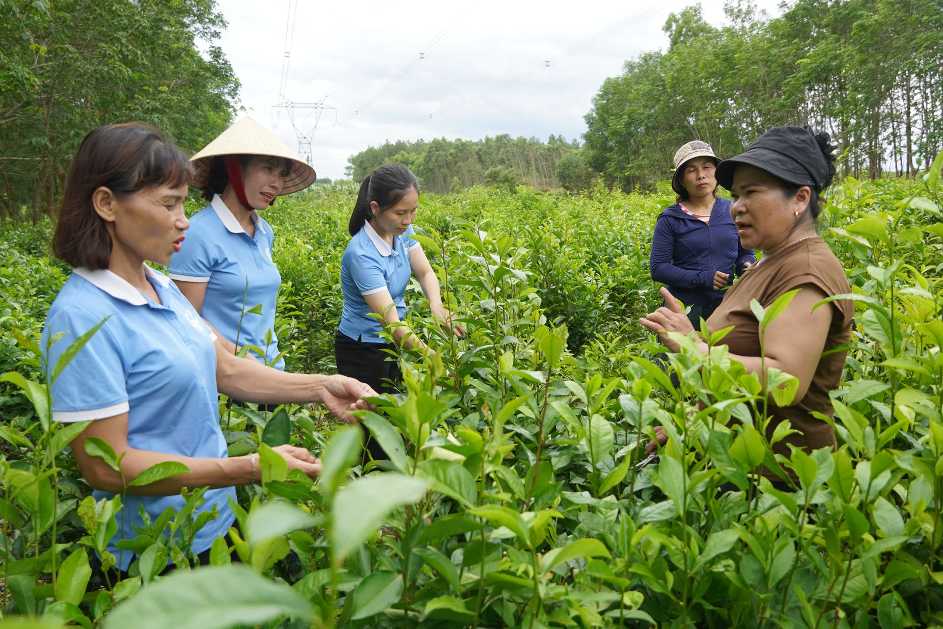 Ms. Nguyen Thi Nga's farm model is visited and learned by many women's union members - Photo: L.M