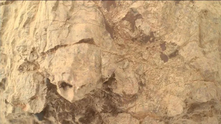 NASA phát hiện 'rùa' trên sao Hỏa - Ảnh 1.