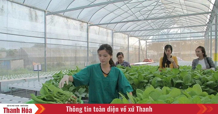 Nông nghiệp khẳng định vị thế trụ đỡ nền kinh tế (Bài 1): “Mở đường” để nông nghiệp phát triển