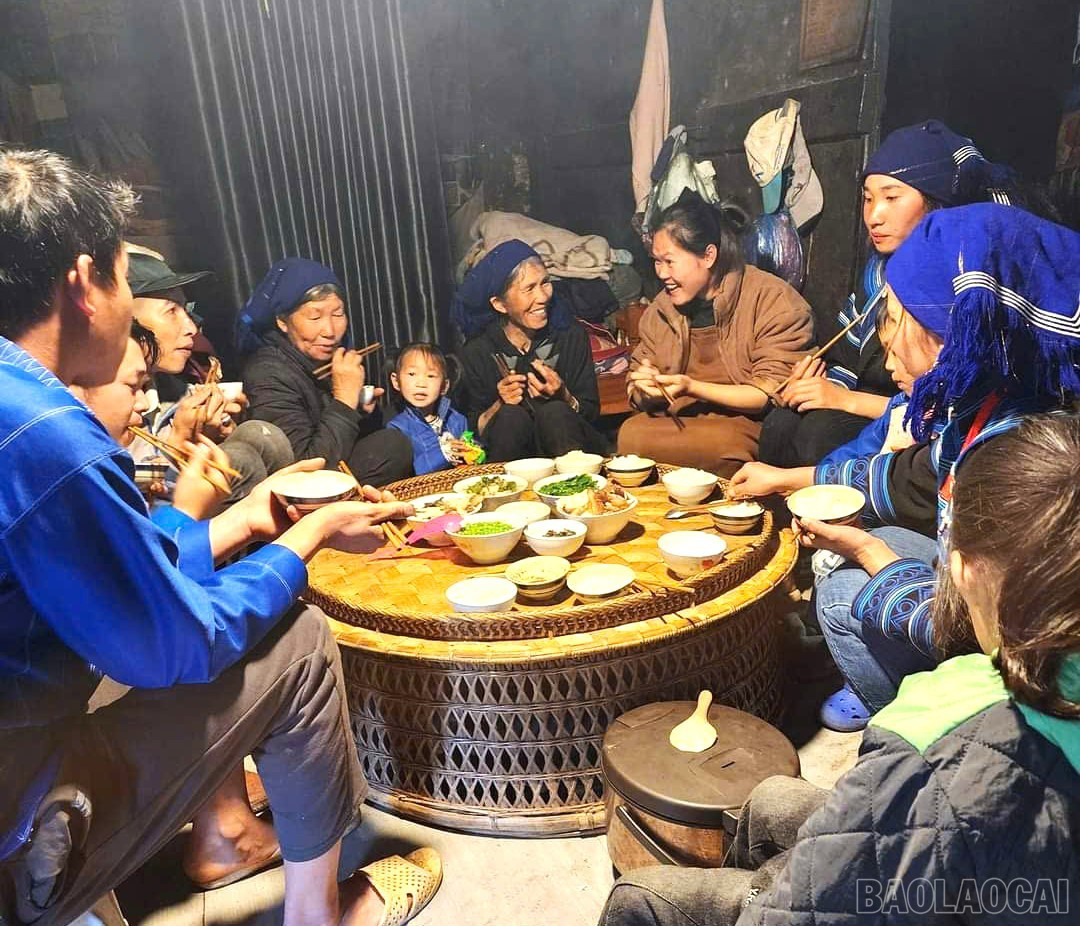 baolaocai-br_7.jpg
