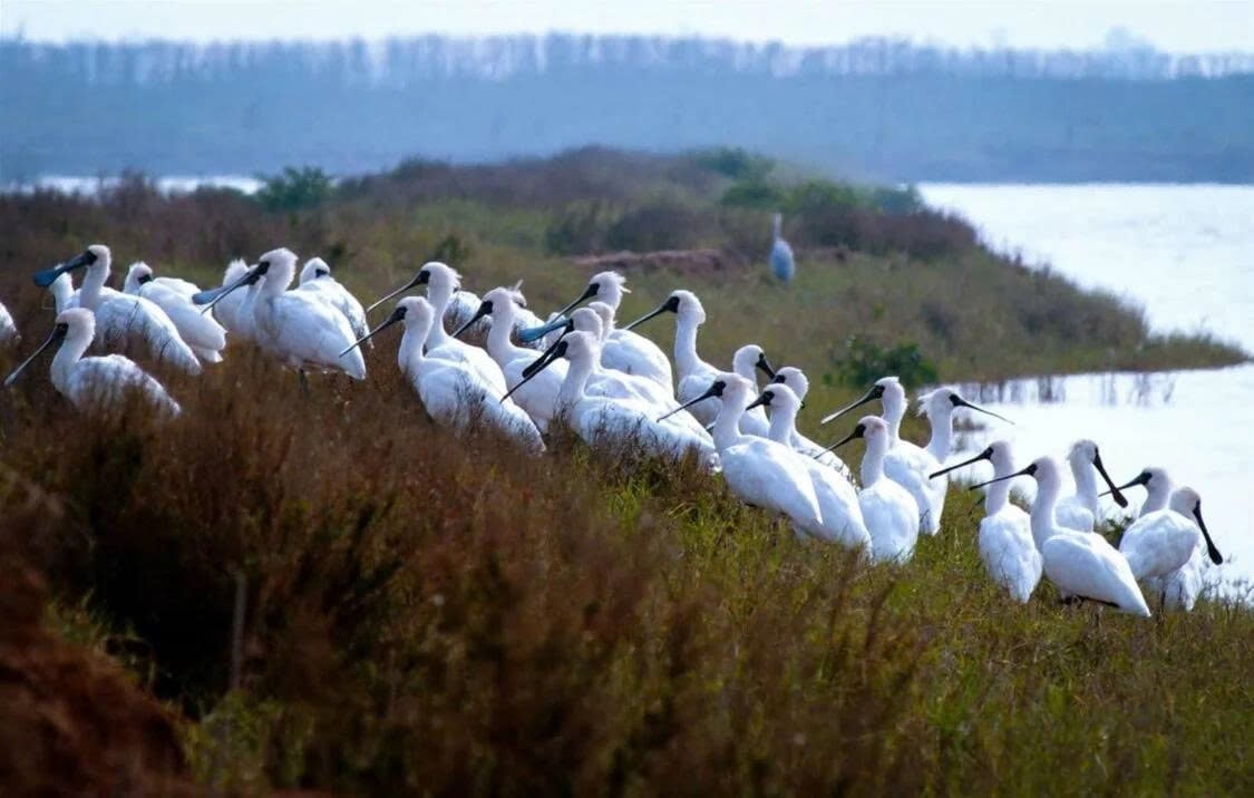 Việt Nam có thêm 3 vườn quốc gia được công nhận là Công viên Di sản ASEAN