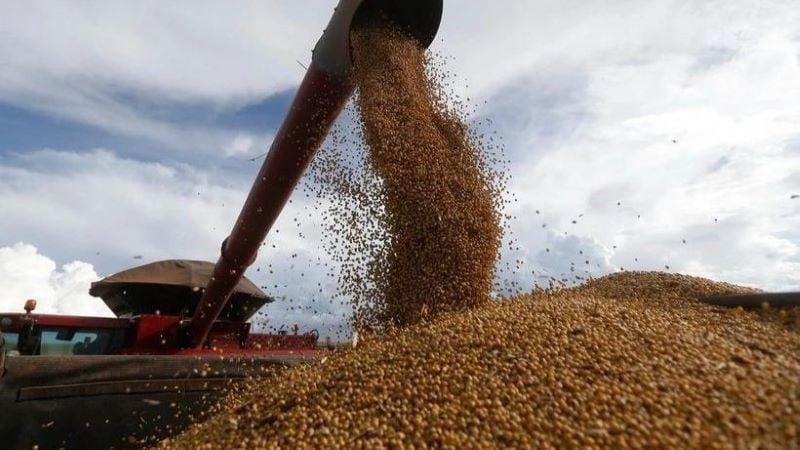Soybean harvest at a farm in Formosa, Goias, Brazil. (Photo: THX/TTXVN)
