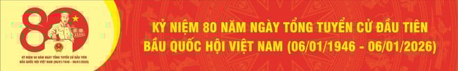 Mẫu biểu trưng chính thức kỷ niệm 80 năm Ngày Tổng tuyển cử đầu tiên