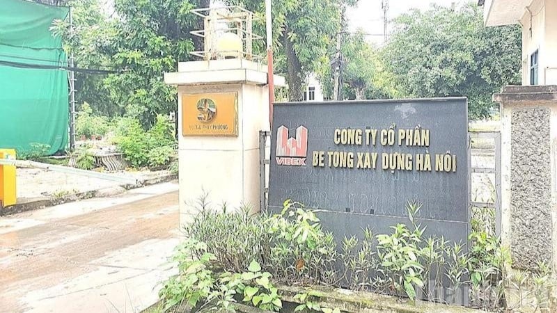 បើទោះជាលោកស្រីត្រូវបានផ្ទេរពីក្រុមហ៊ុនភាគហ៊ុនបេតុងសំណង់ហាណូយកាលពី៣ឆ្នាំមុនក៏ដោយ ប៉ុន្តែលោកស្រី វូធី ថៃហា មិនទាន់ត្រូវបានផ្ទេរទៅបក្សនៅឡើយទេ។