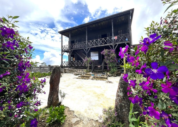 Khánh Hòa - Ảnh 1.