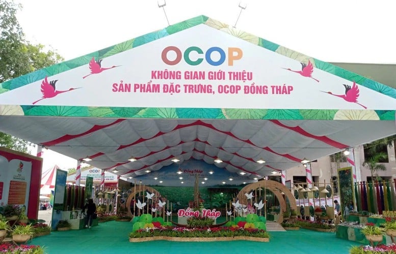 Thương mại Đồng Tháp: Tăng tốc số hóa, mở rộng chuỗi giá trị- Ảnh 1.