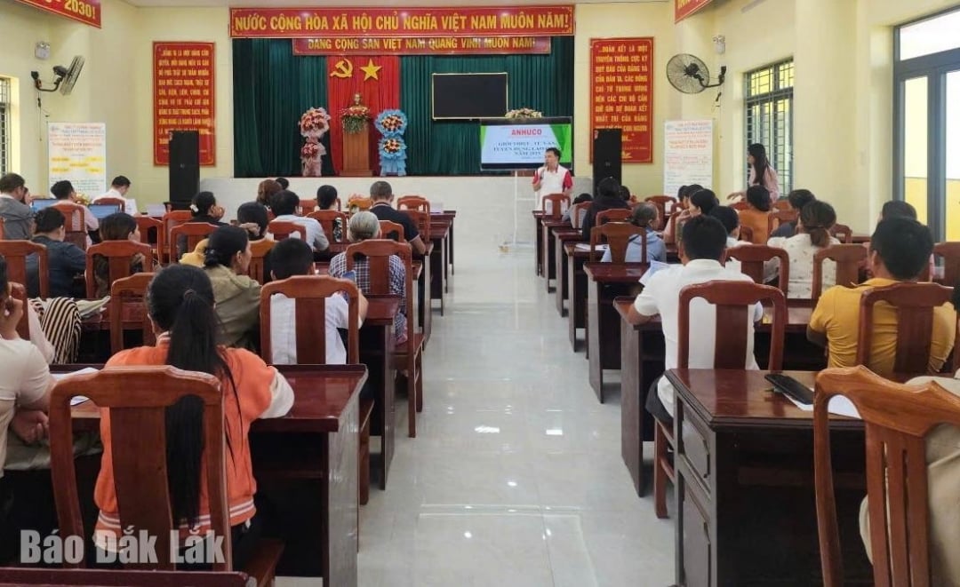 កម្មករចូលរួមពិព័រណ៍ការងារនៅឃុំ Hoa Xuan។