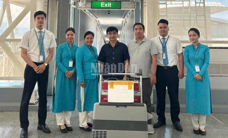 ndo_c_doan-bac-si-bv-tw-hue-truoc-khi-len-chuyen-bay-vn168-tu-da-nang-ra-ha-noipeg.jpg