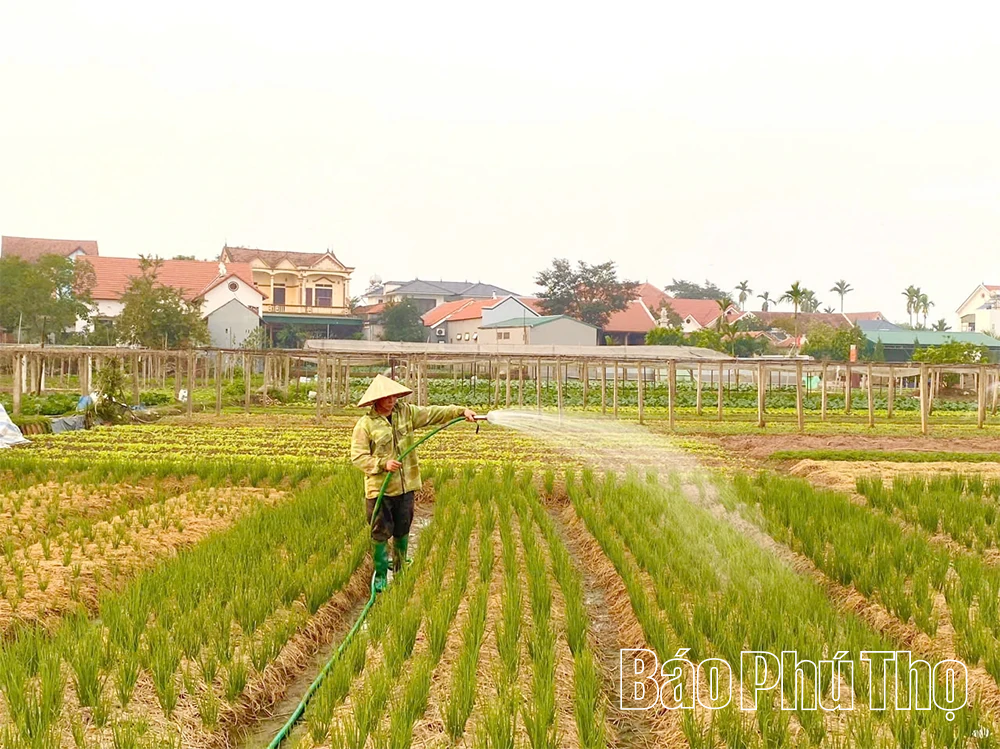លើកកំពស់តួនាទីសំខាន់របស់សហគ្រាសធារាសាស្ត្រក្នុងការអភិវឌ្ឍន៍កសិកម្មទំនើប